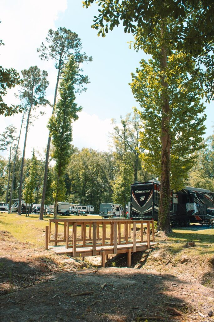 RVs parked among tall pine trees at Fireside RV Resort in Ponchatoula, Louisiana.
